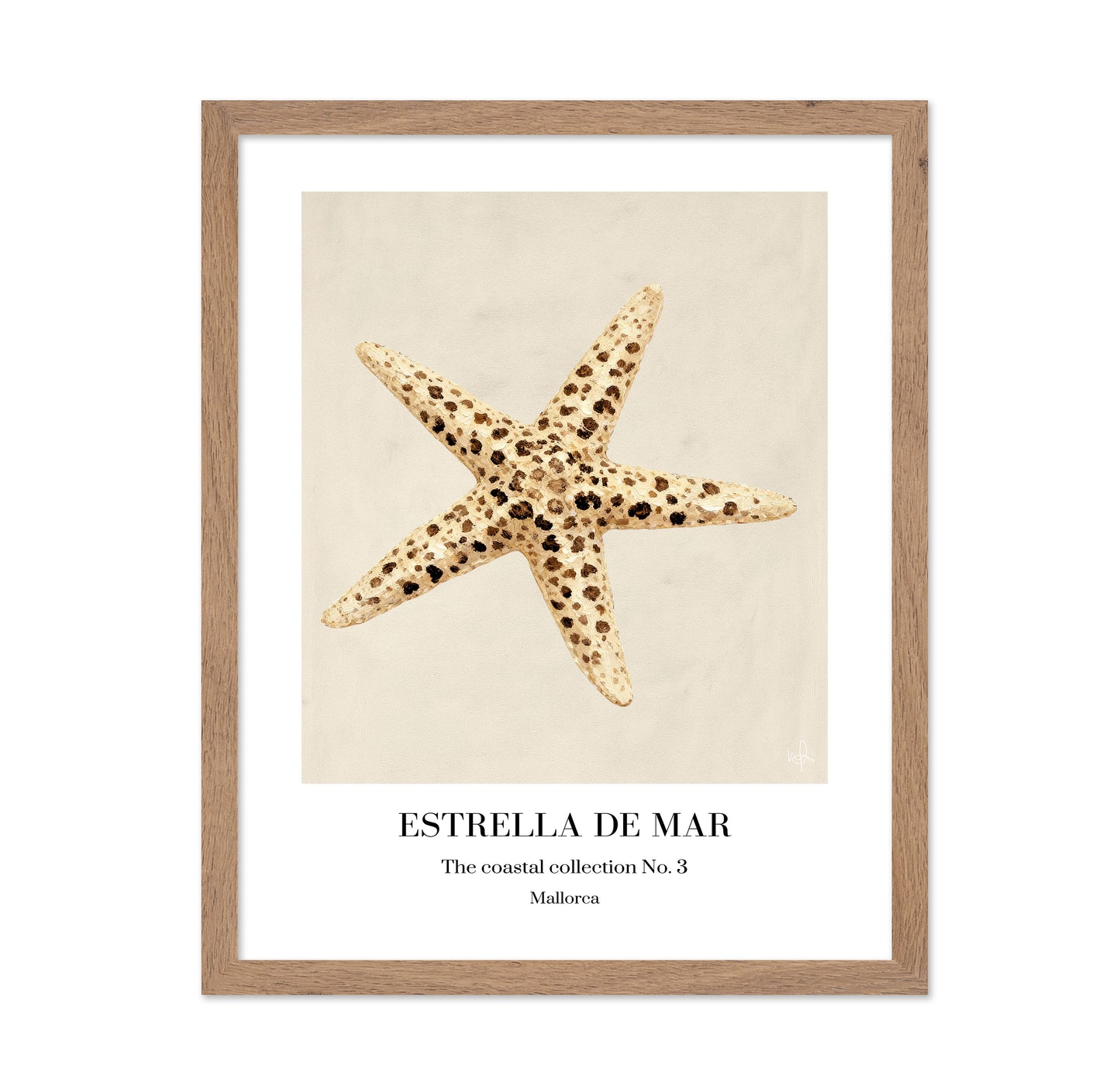 Spotted Starfish