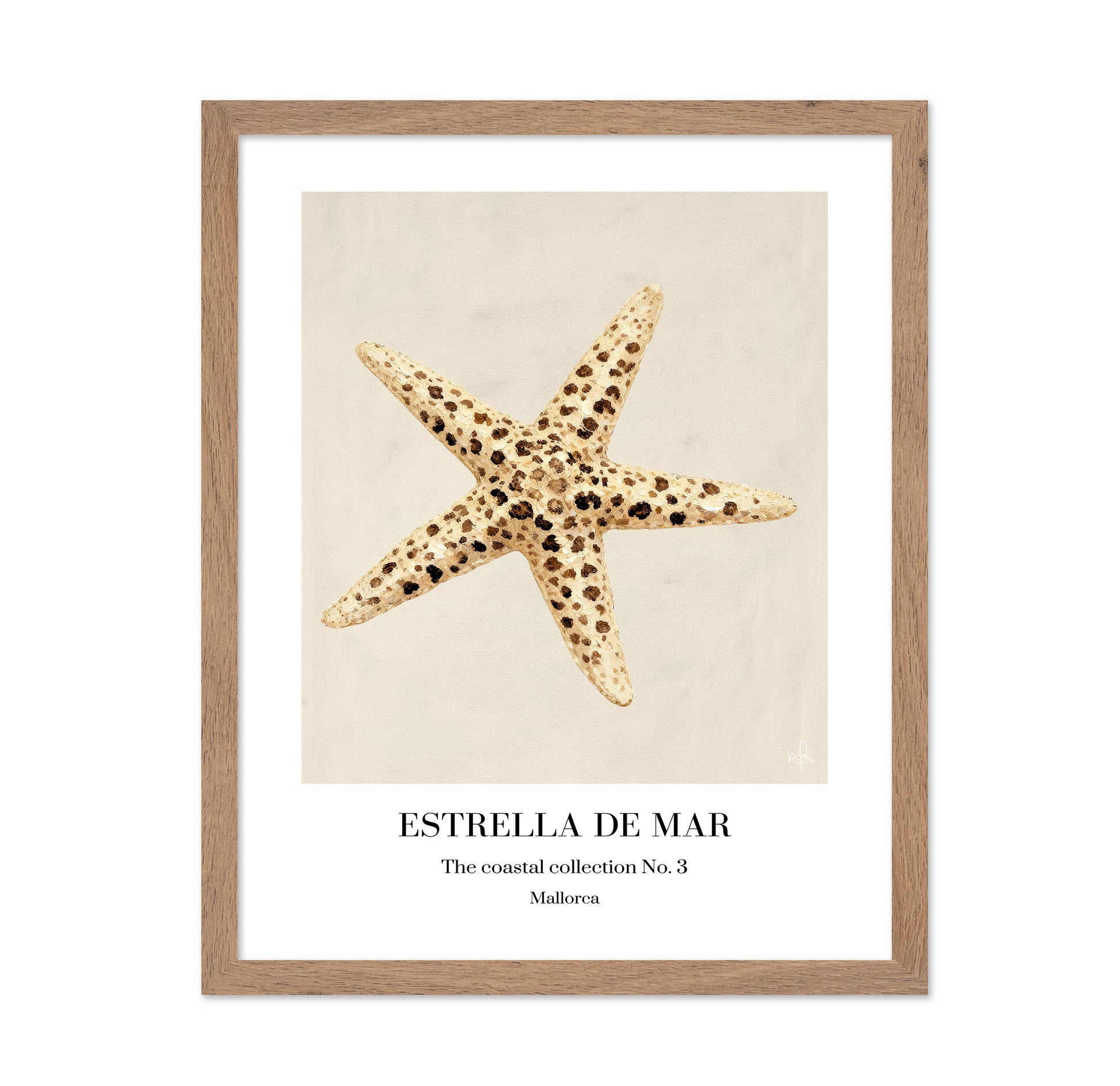 Spotted Starfish