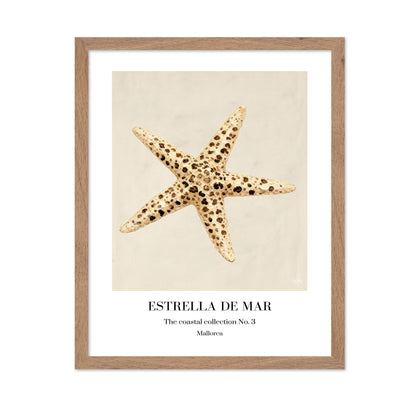 Spotted Starfish