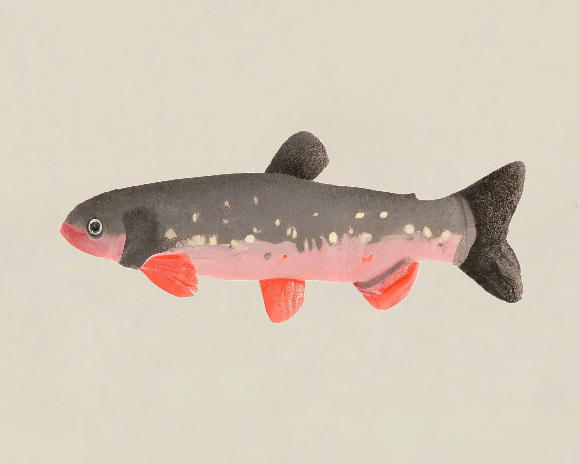 Modern Fish Illustration
