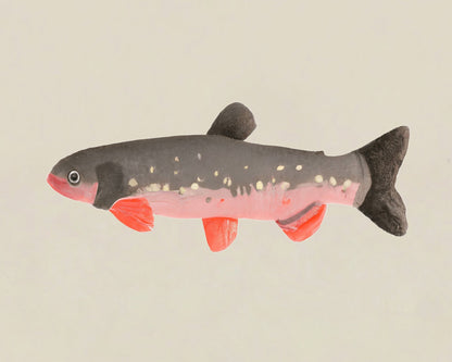 Modern Fish Illustration