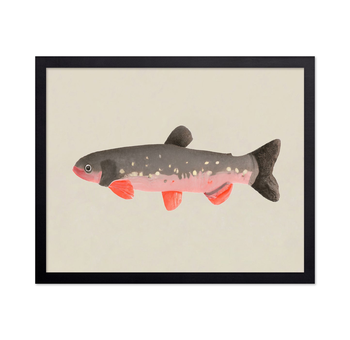 Modern Fish Illustration