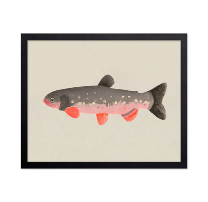 Modern Fish Illustration