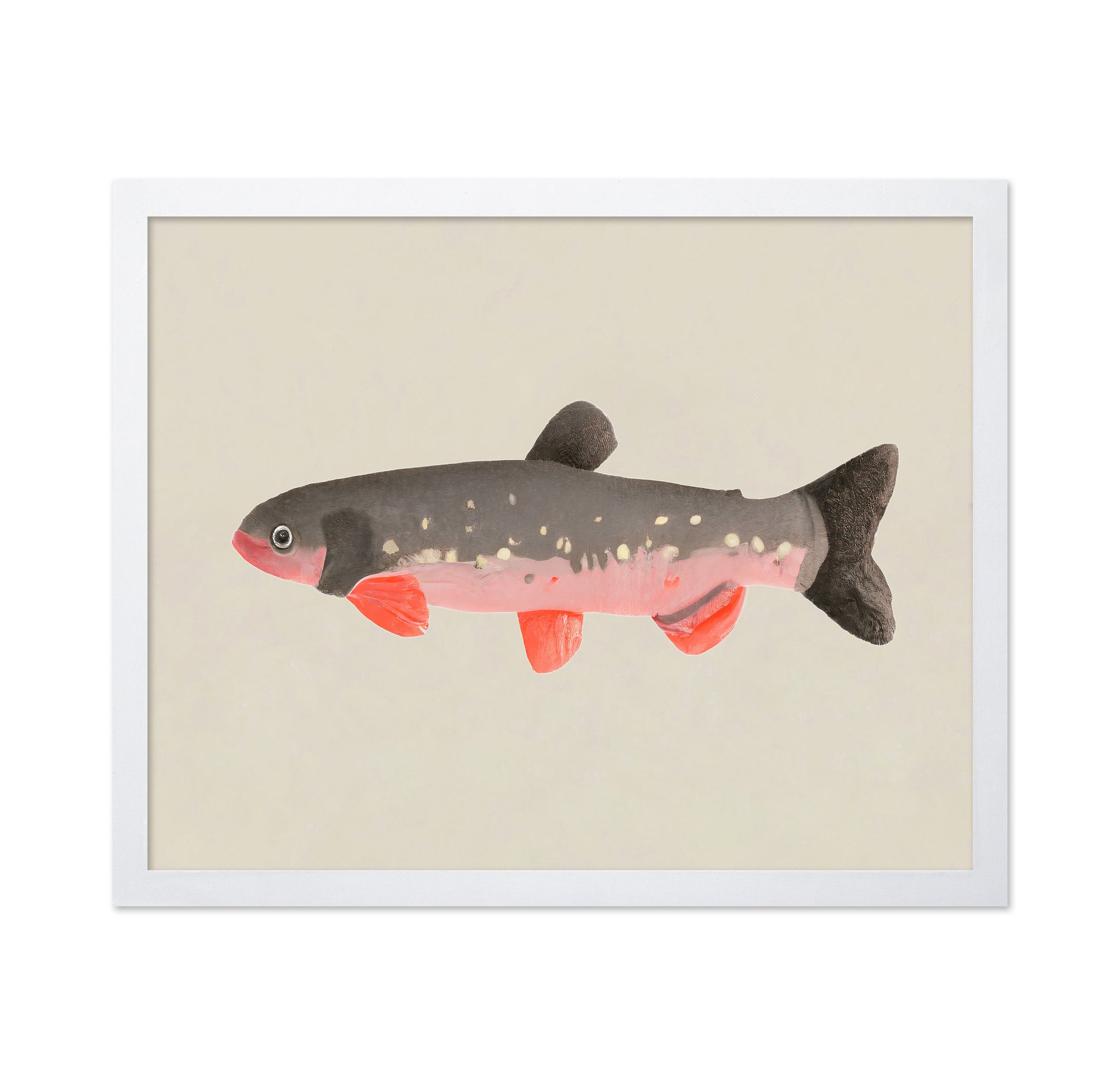 Modern Fish Illustration