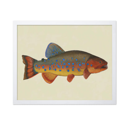 Vibrant Reef Fish