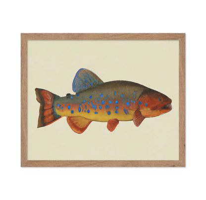 Vibrant Reef Fish