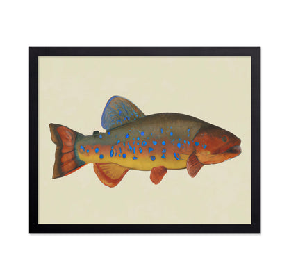 Vibrant Reef Fish