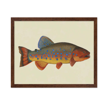 Vibrant Reef Fish