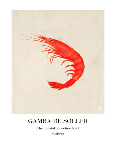 Red Shrimp Illustration