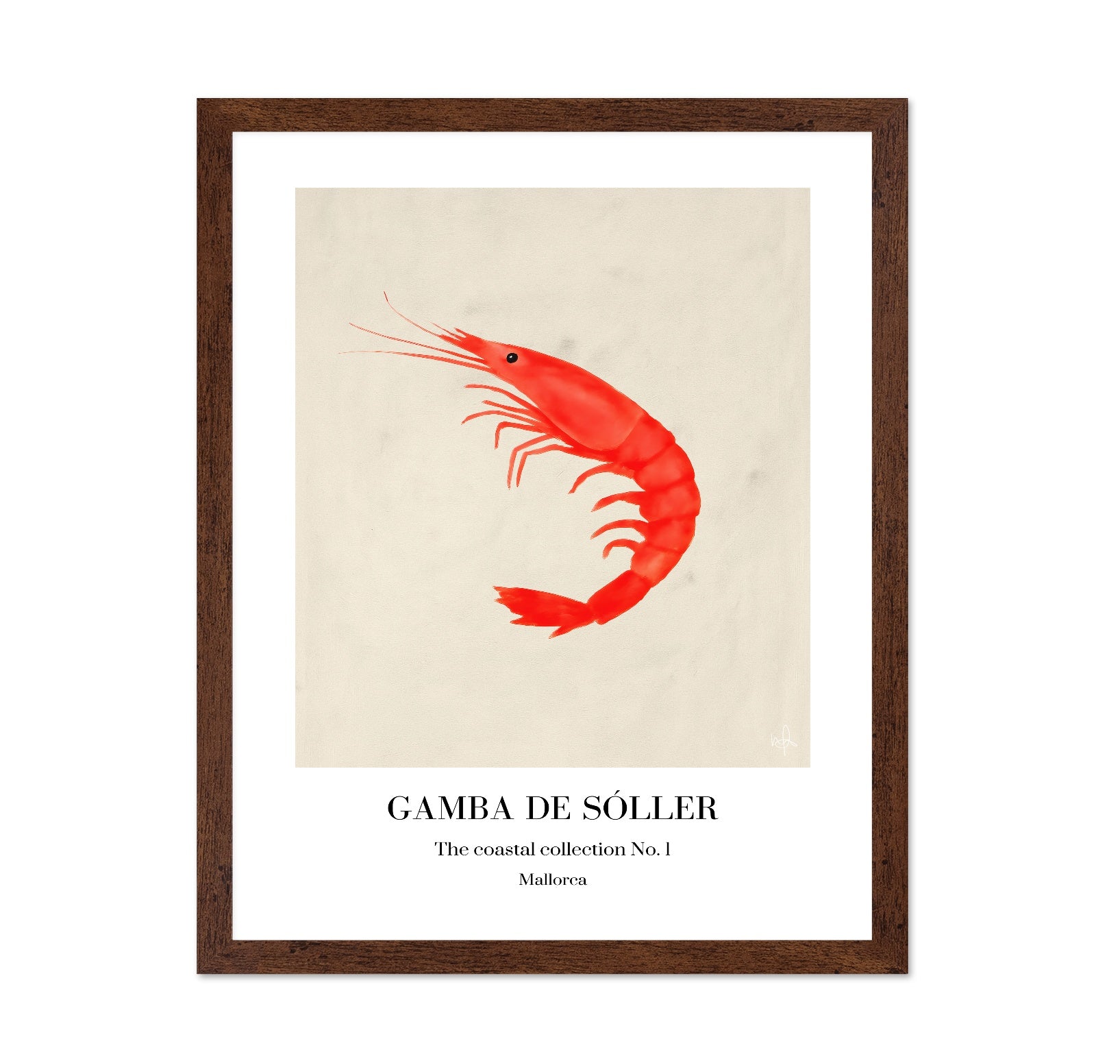 Red Shrimp Illustration