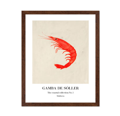 Red Shrimp Illustration