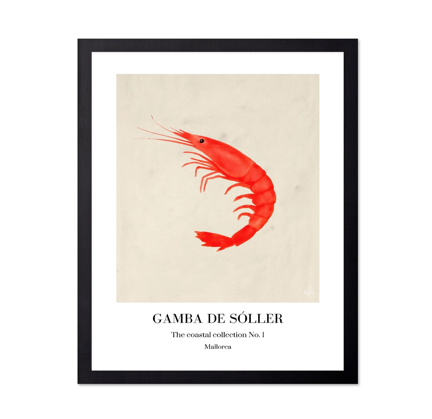 Red Shrimp Illustration