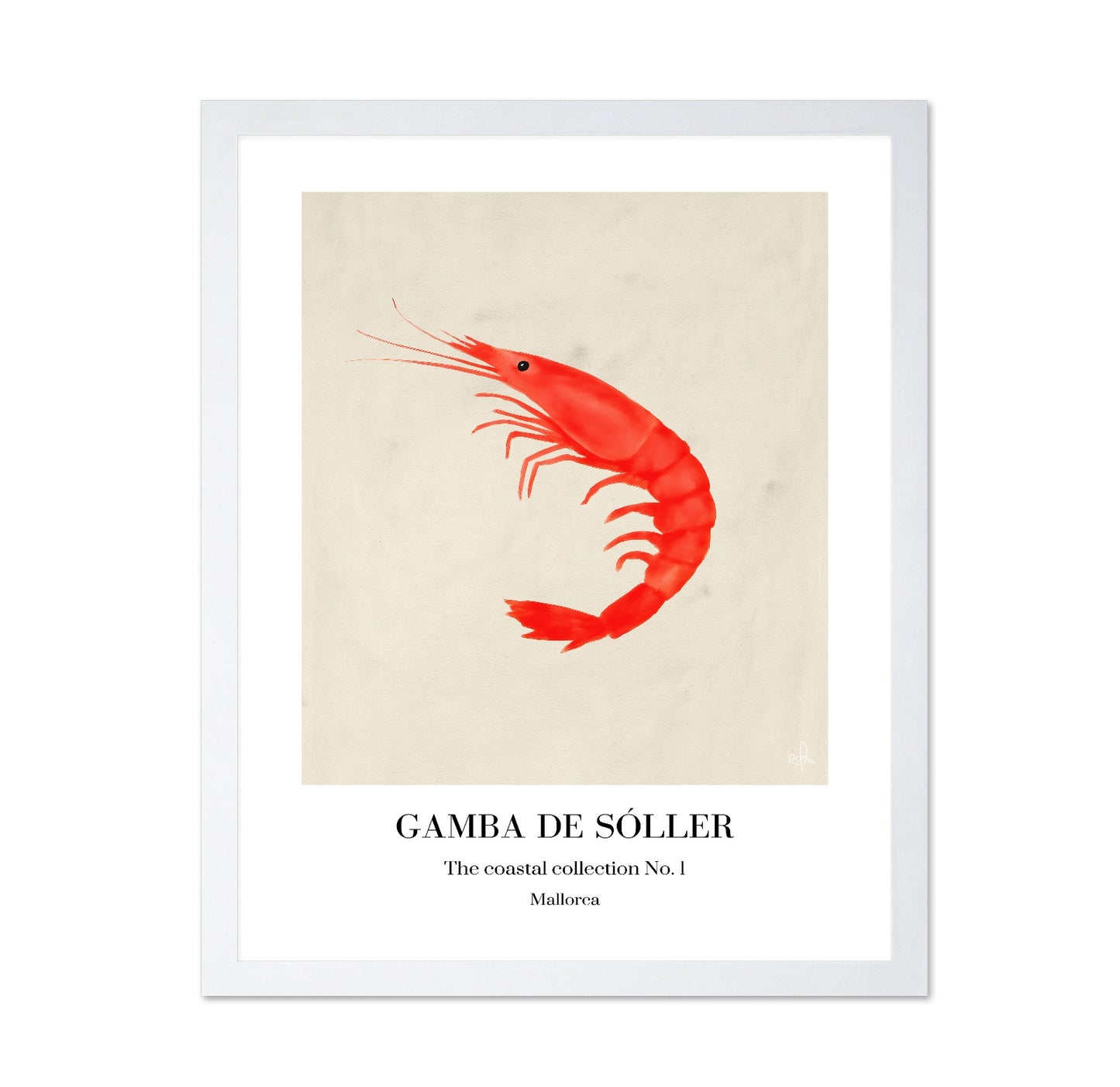 Red Shrimp Illustration