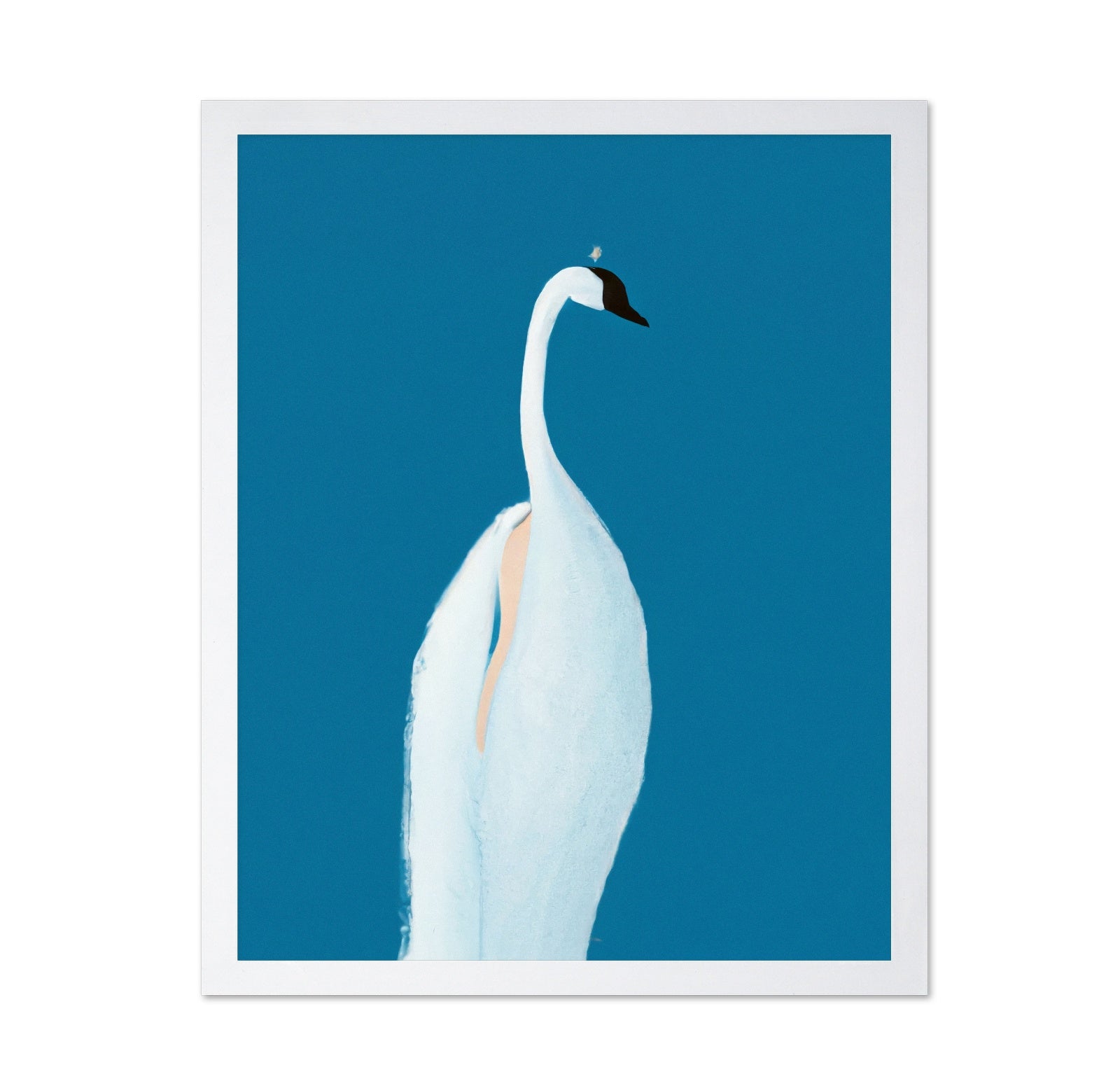 Elegant Swan