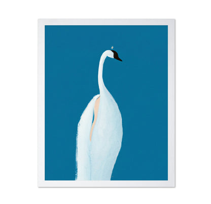 Elegant Swan