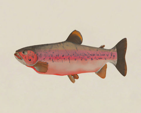 Rustic Salmon Study