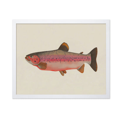 Rustic Salmon Study