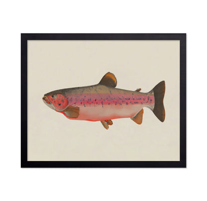 Rustic Salmon Study