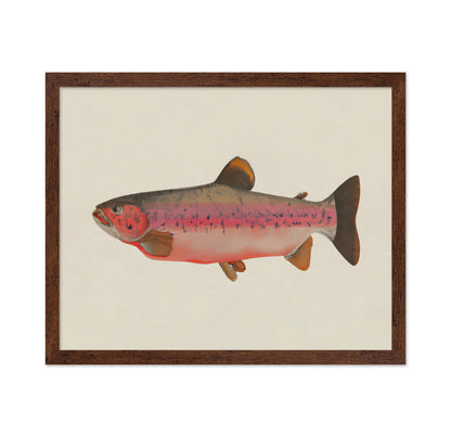 Rustic Salmon Study