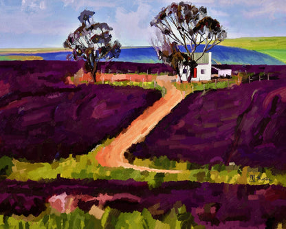Lavender Path
