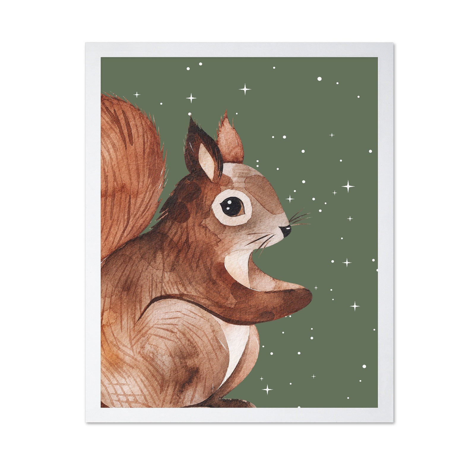 Starry Squirrel