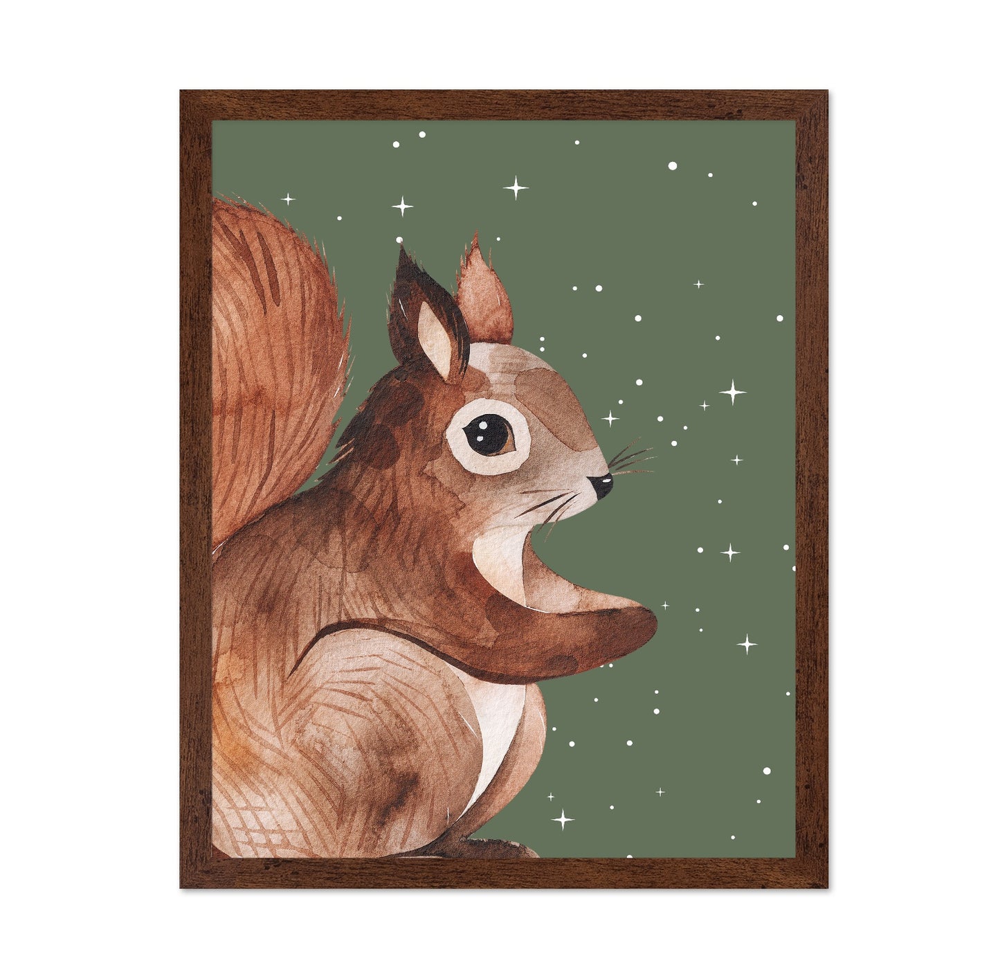 Starry Squirrel
