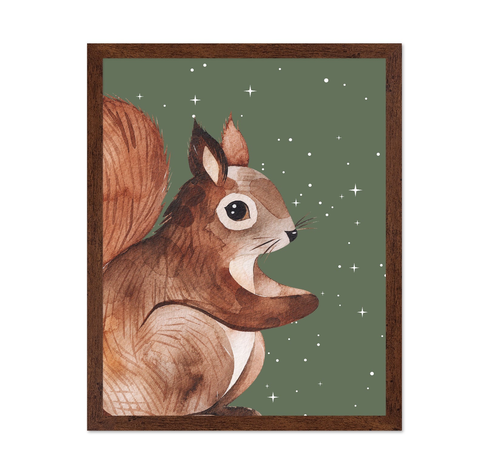 Starry Squirrel
