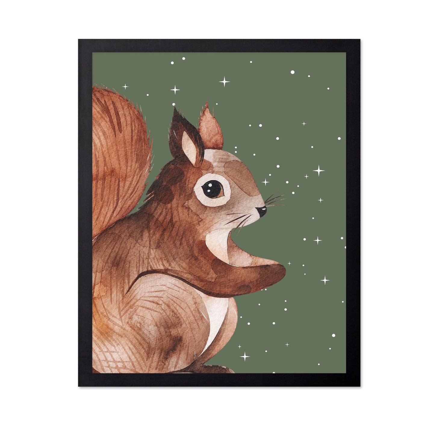 Starry Squirrel
