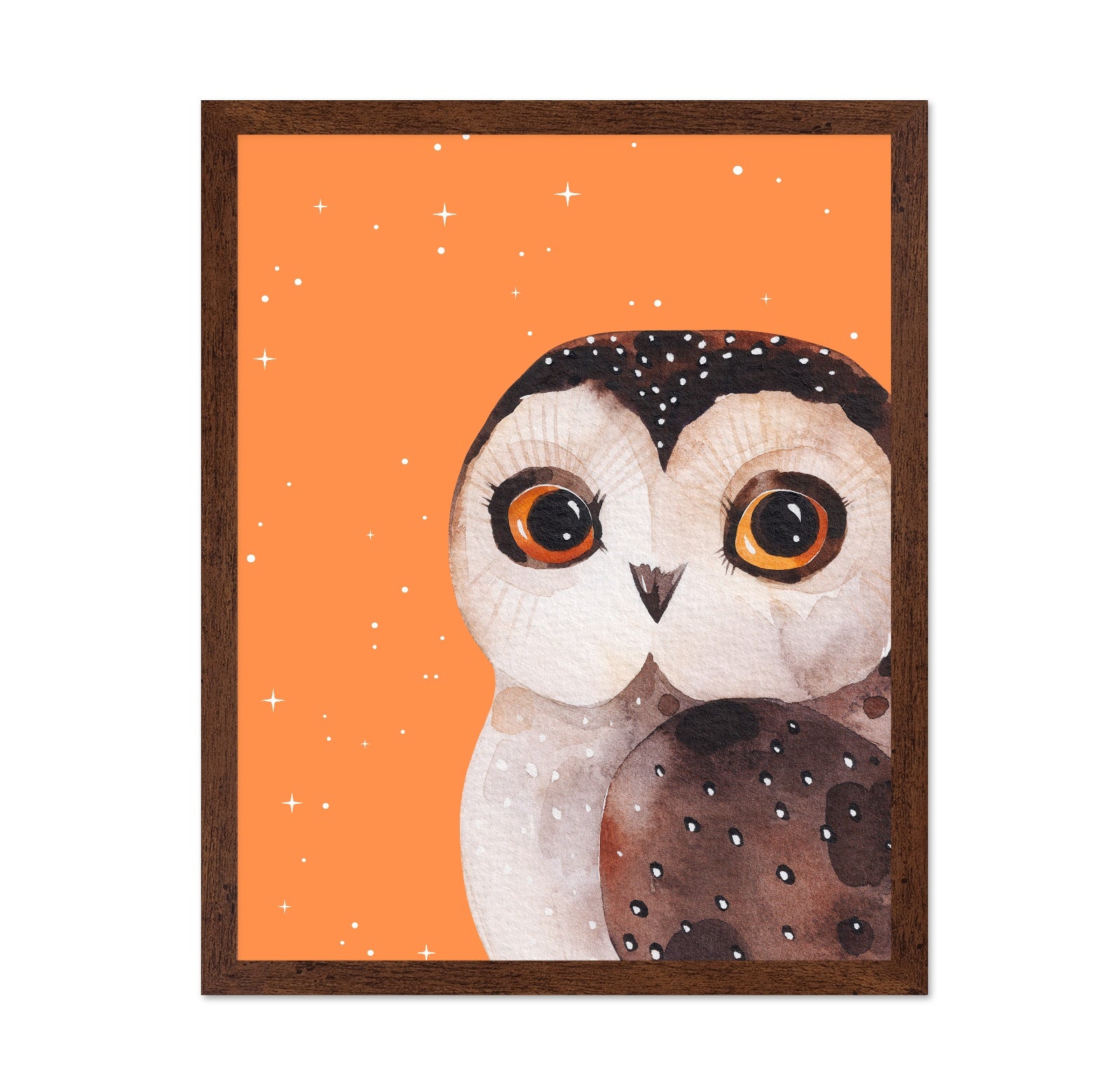 Starry Owl