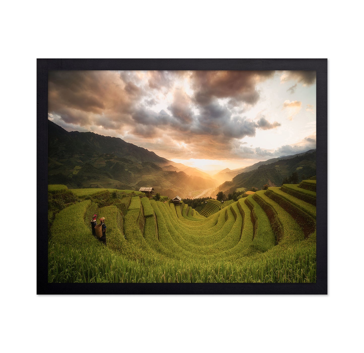Rice Terraces Sunset