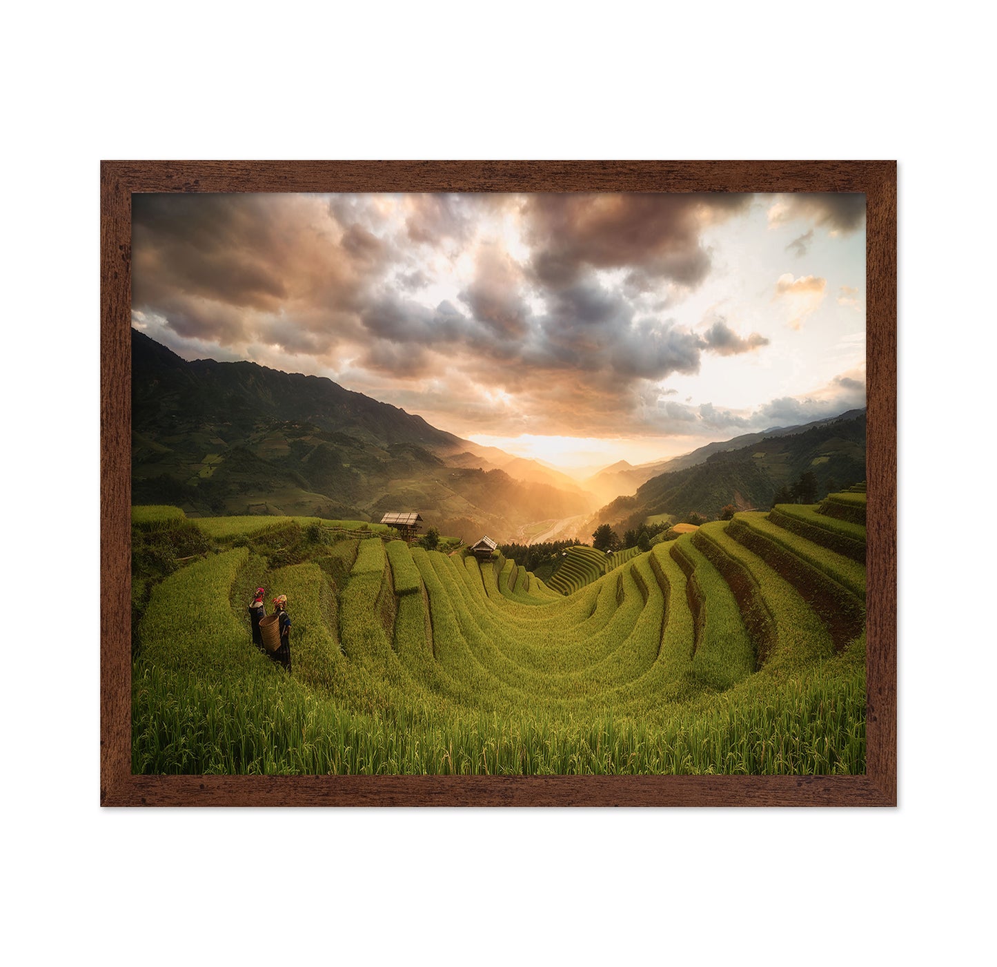Rice Terraces Sunset