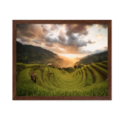 Rice Terraces Sunset