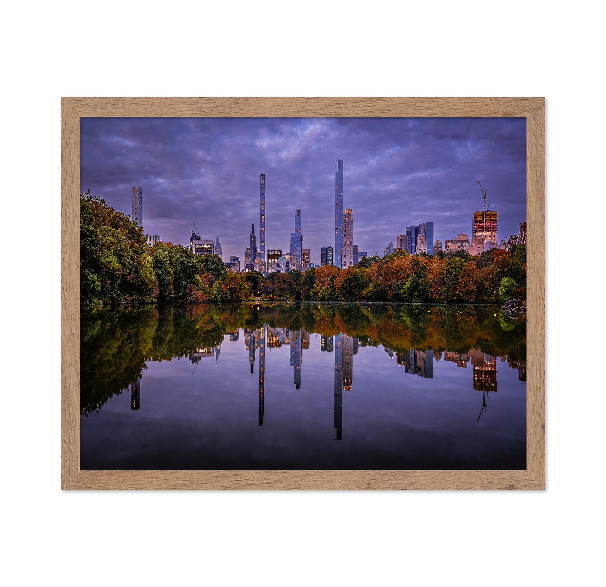 Central Park Reflection