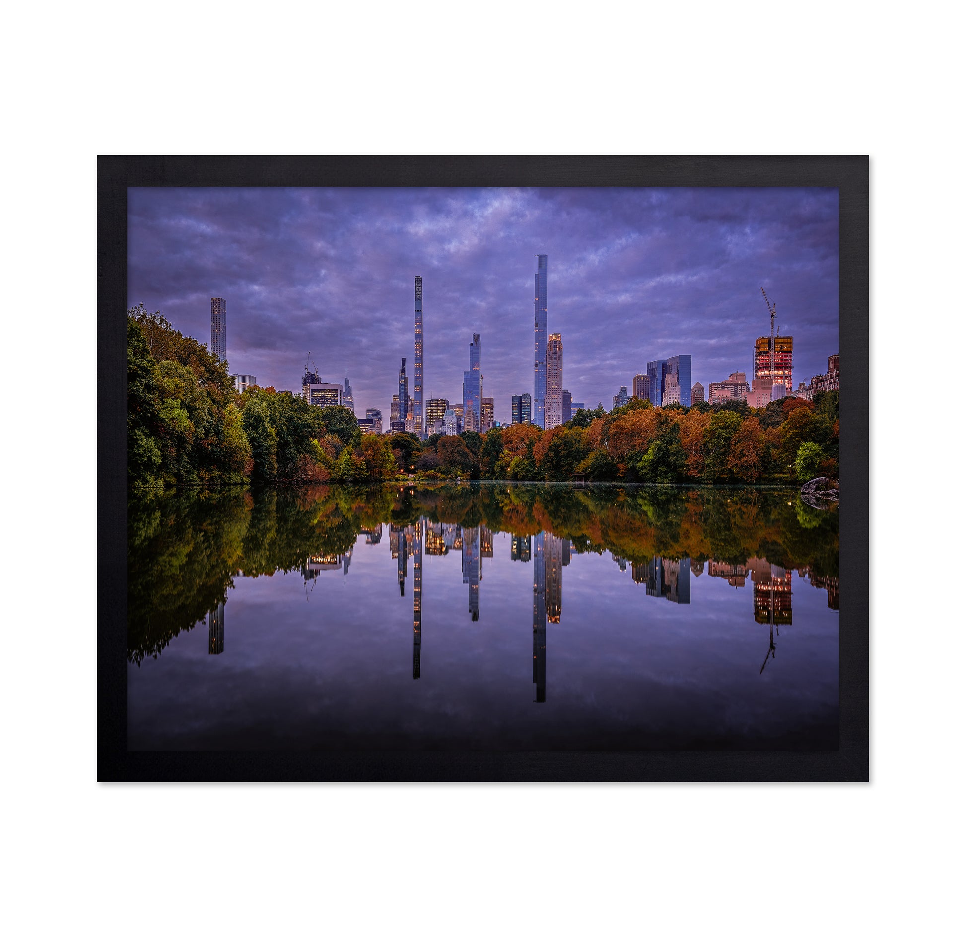 Central Park Reflection