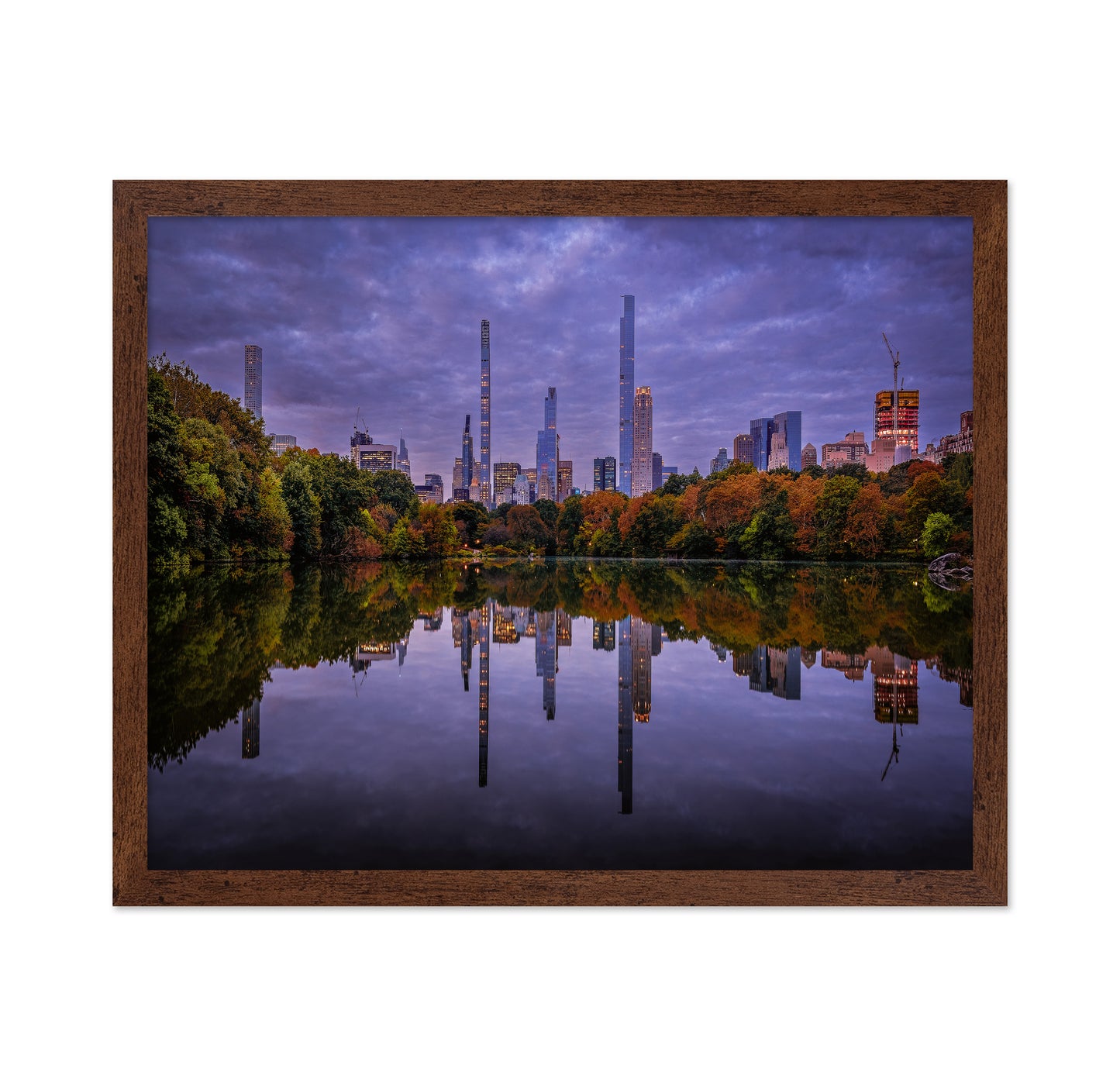 Central Park Reflection
