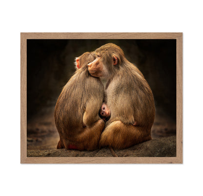 Monkey Family Bond