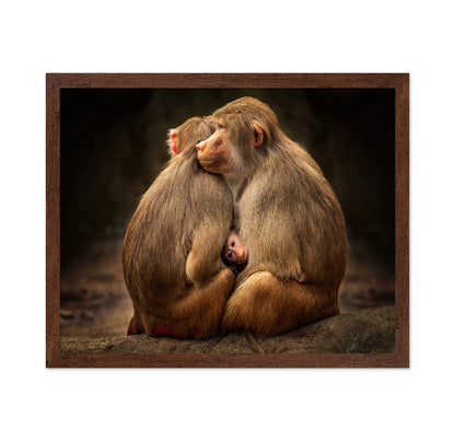 Monkey Family Bond