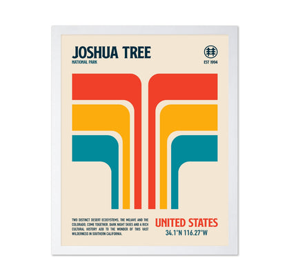 Joshua Tree Lines