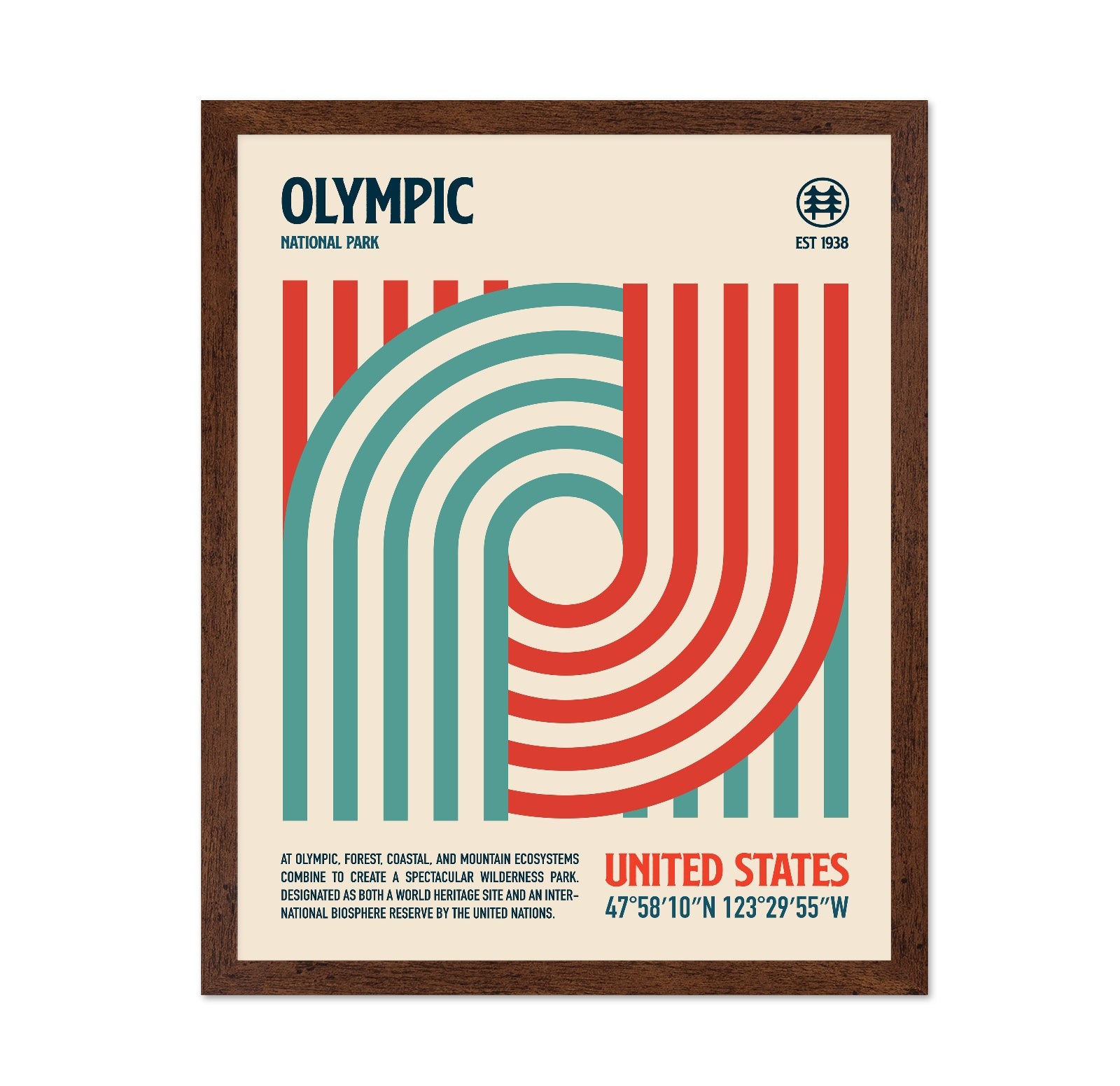 Olympic Lines