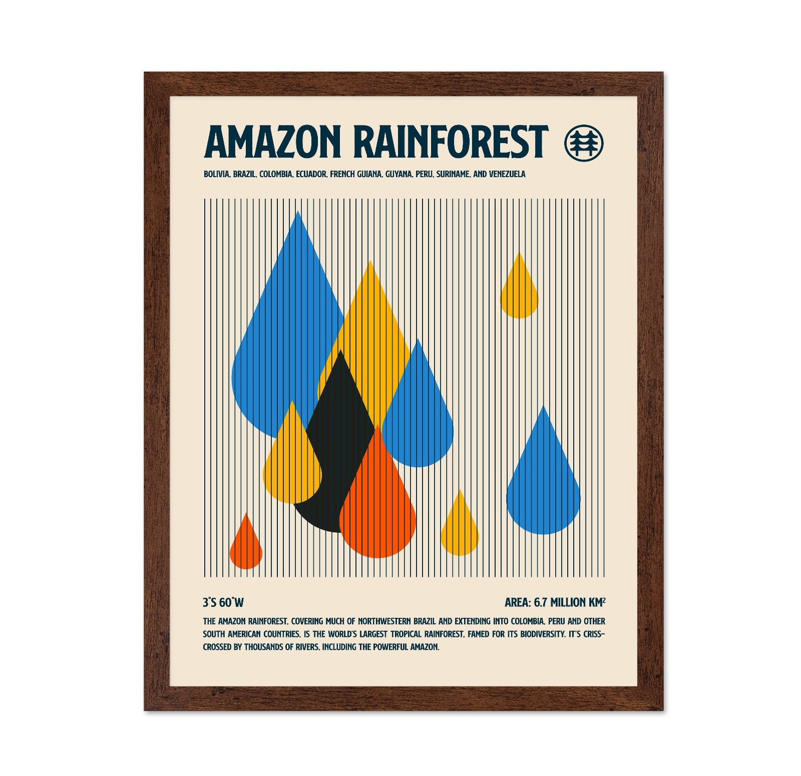 Amazon Rainforest Drops