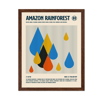 Amazon Rainforest Drops
