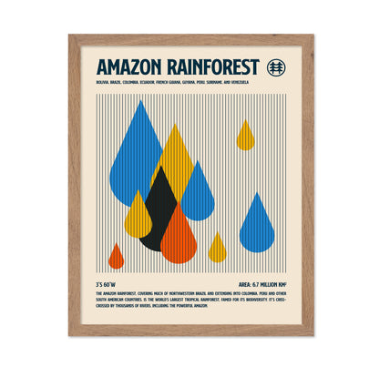 Amazon Rainforest Drops