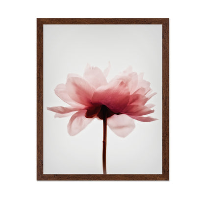 Soft Pink Peony No4