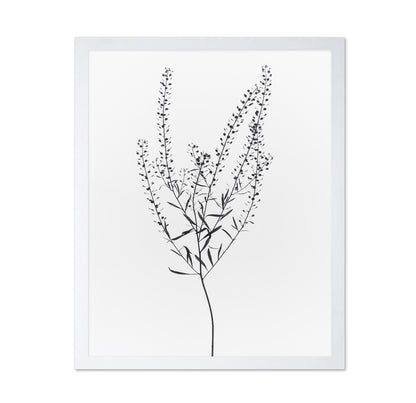Delicate Botanical Stem