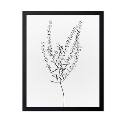 Delicate Botanical Stem
