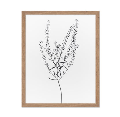 Delicate Botanical Stem