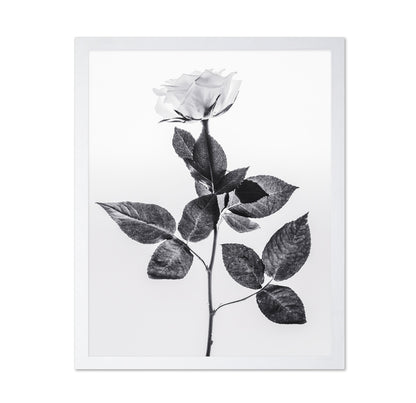 Minimal Rose Stem