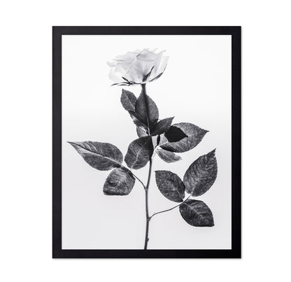 Minimal Rose Stem