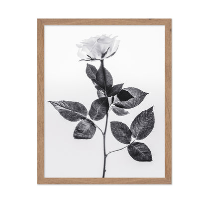 Minimal Rose Stem