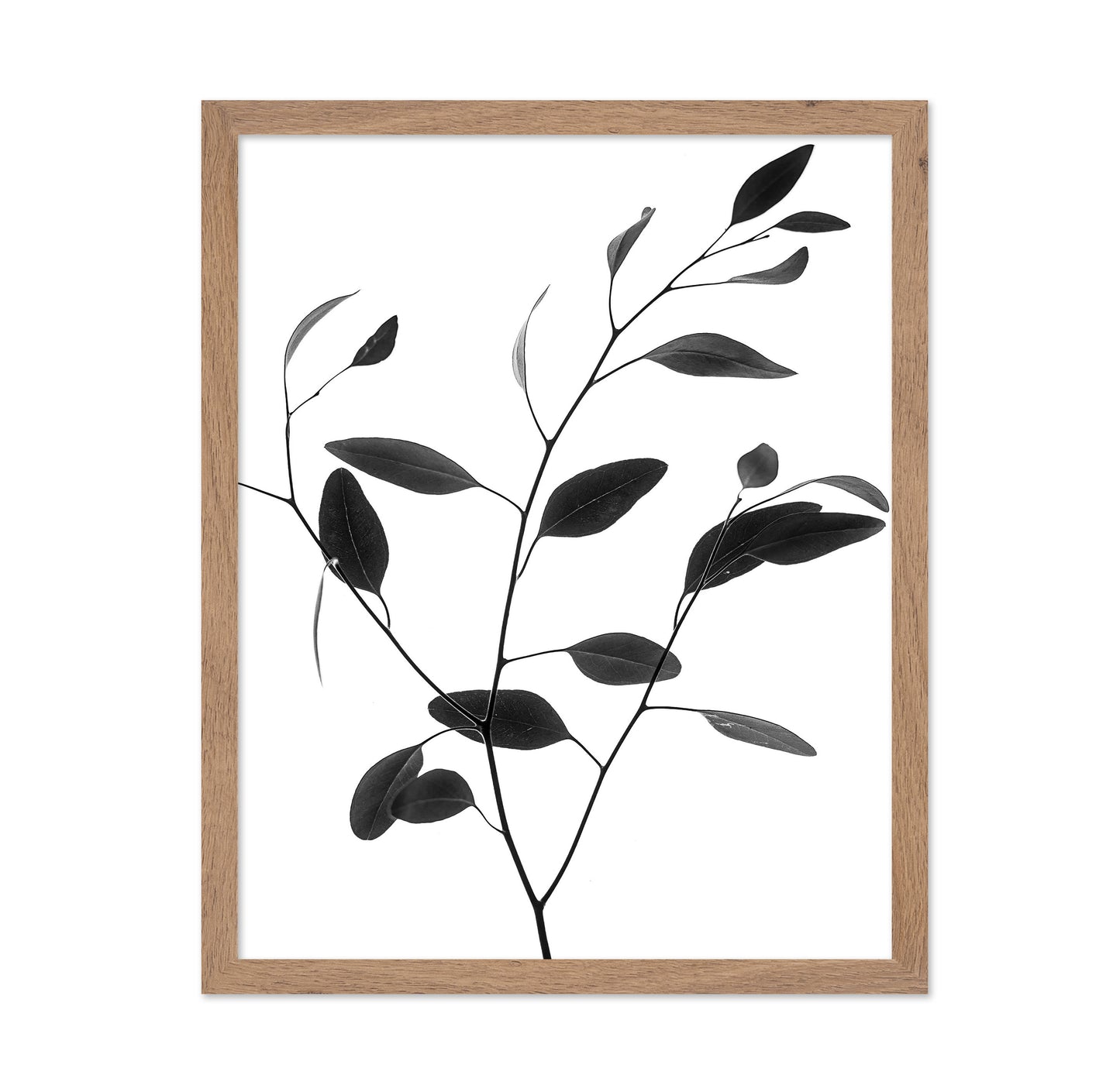 Minimal Leaf Branch No1